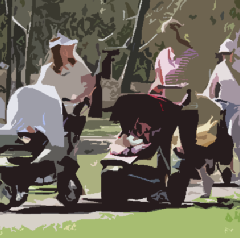 wpd8888502.png